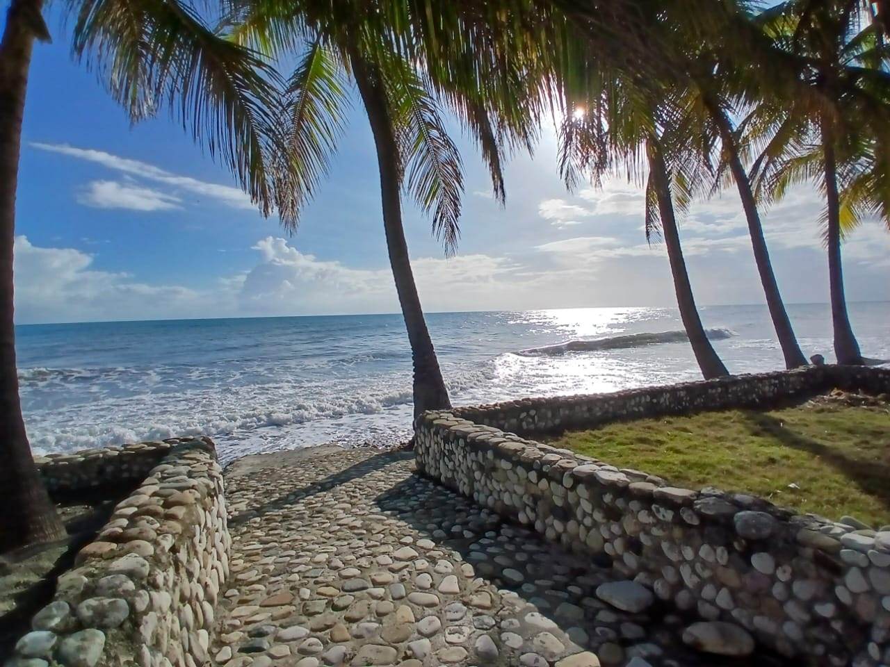 Vue sur la mer des Caraïbes encadrée par des cocotiers