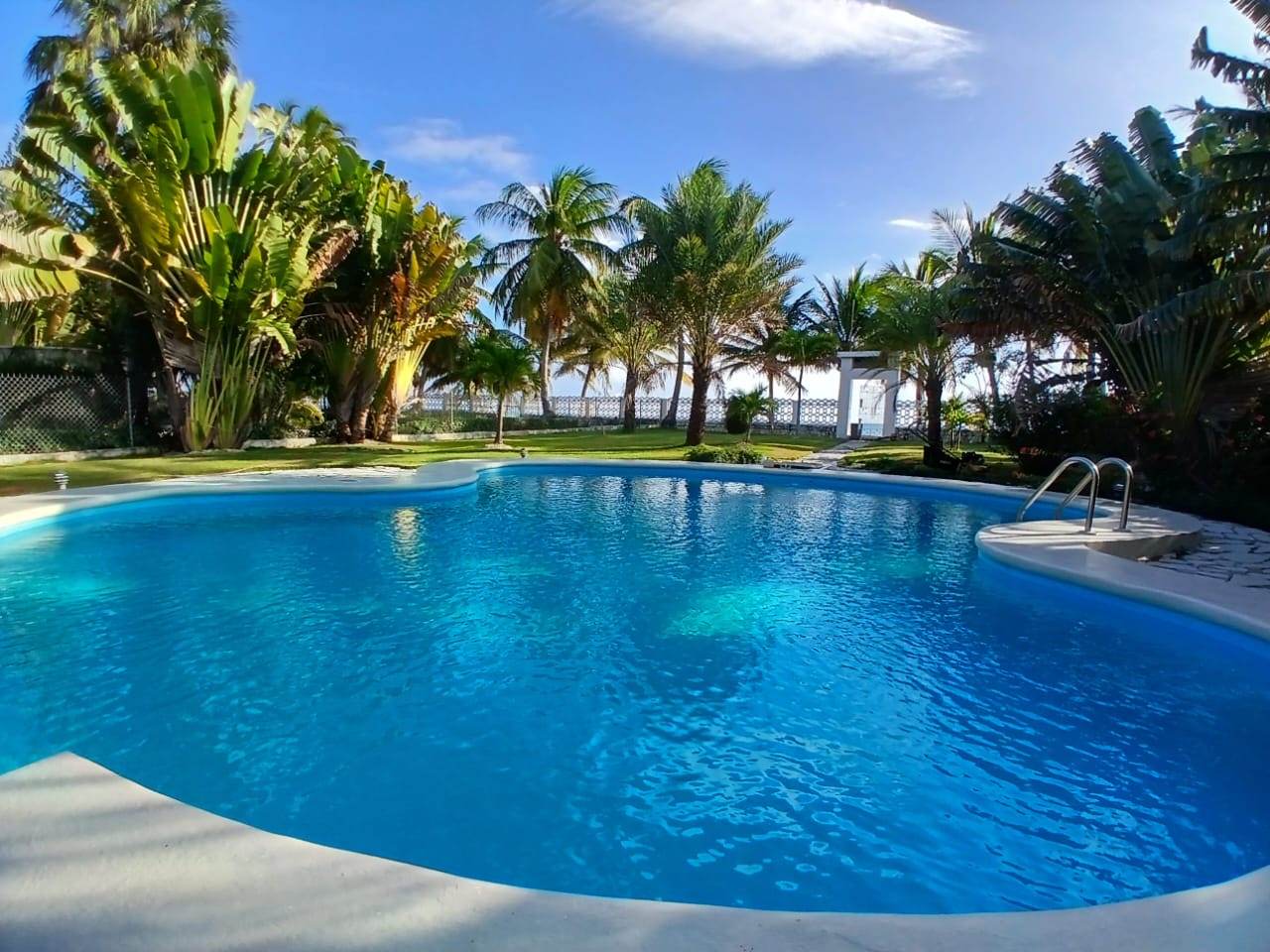 Piscine privée entourée de palmiers